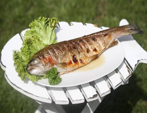 Gegrillter Alpenlachs