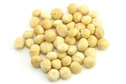 Macadamia