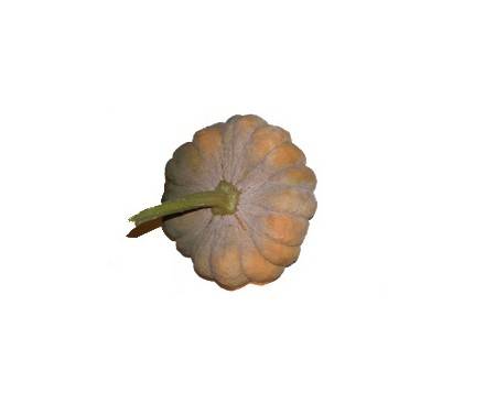 Yuxijangbinggua