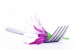Mit Blumen und Blüten kochen Mit Blumen und Blüten kochen