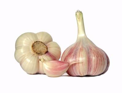 Knoblauch Knoblauch