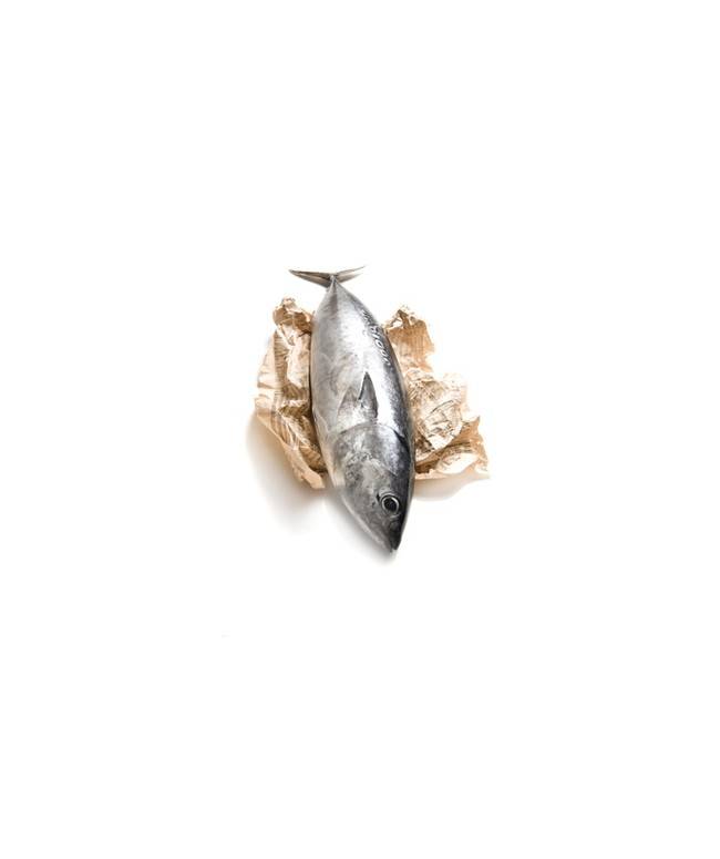 Thunfisch Thunfisch