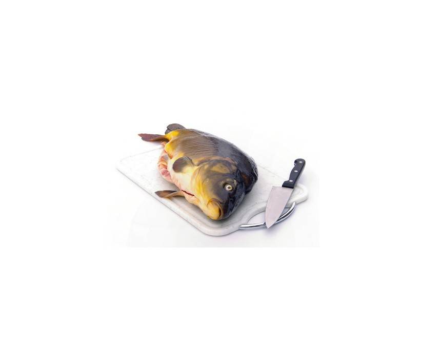 Karpfen Karpfen