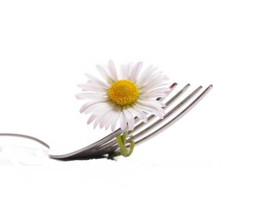 Kochen mit Blüten Kochen mit Blüten