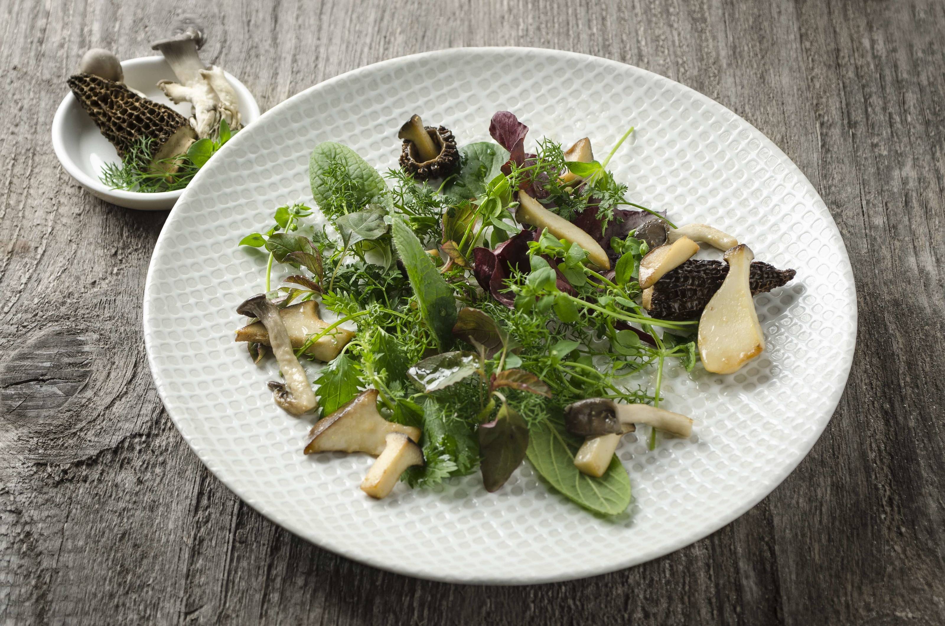 Wildkräutersalat mit gerösteten Pilzen Rezept