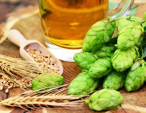 Bierzutaten