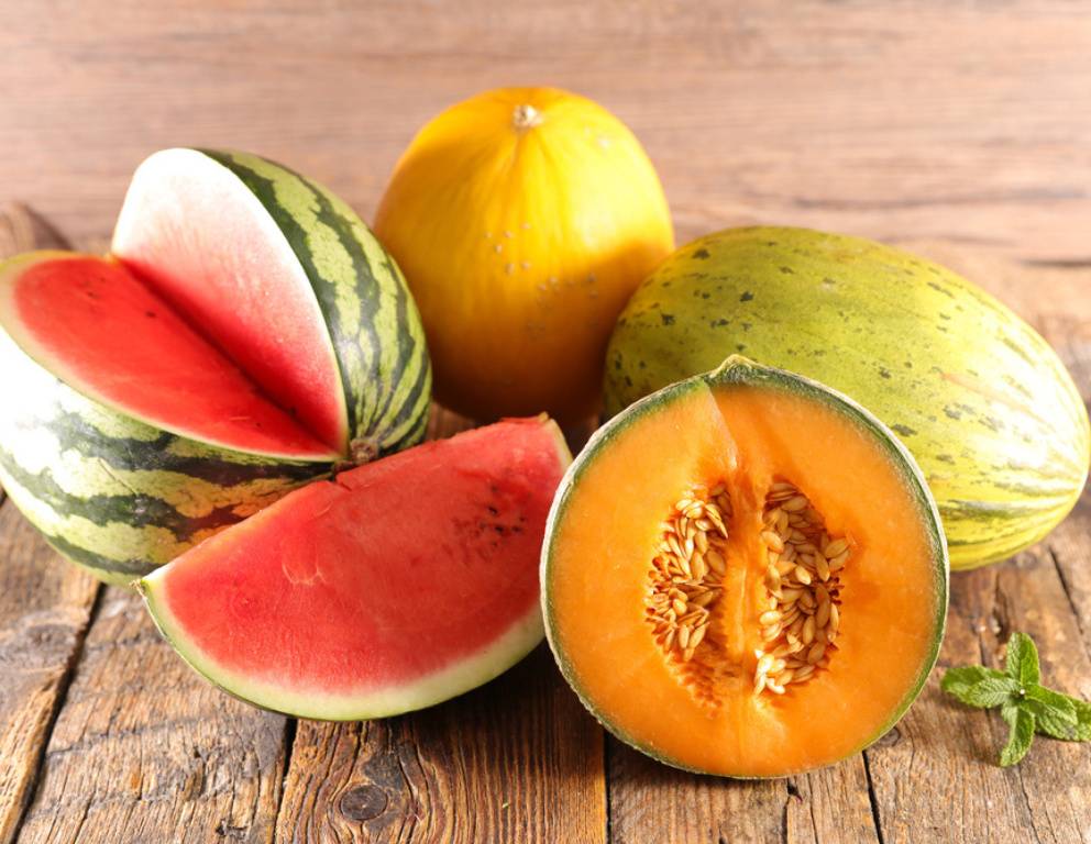 Die besten Melonen Rezepte