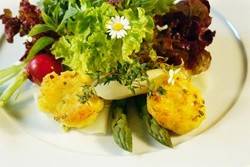 Mit Unkraut und Heilkräutern kochen
