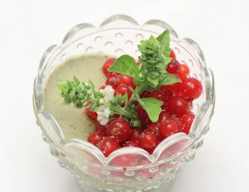 Panna Cotta mit Ribisel und Basilikum