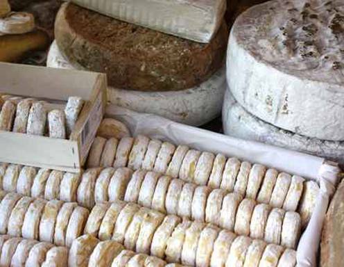 Ziegenkäse Vielfalt 