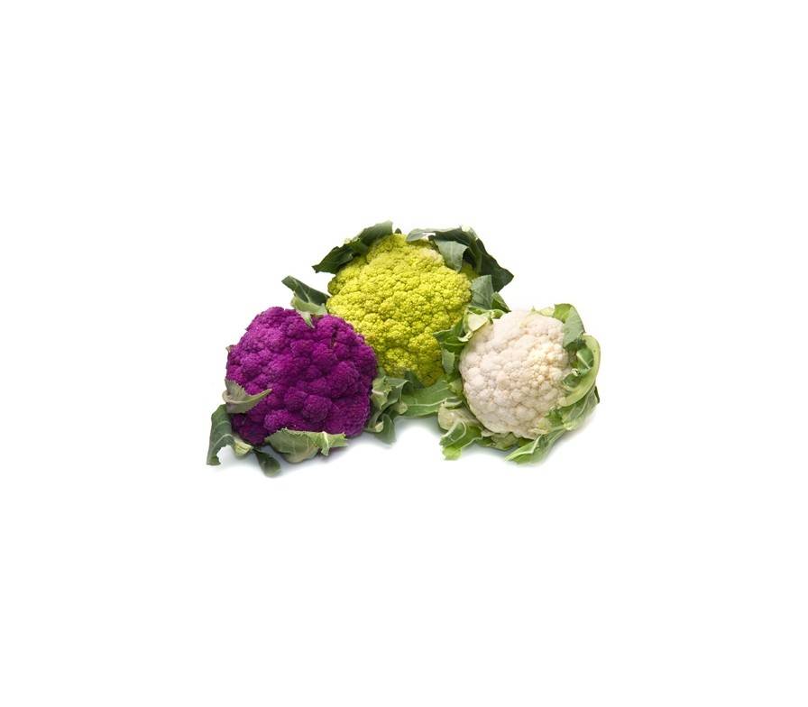 Karfiol Rezepte